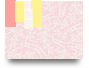 臺中約小姐加賴88975【TG：jj639】