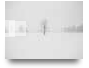 모스커